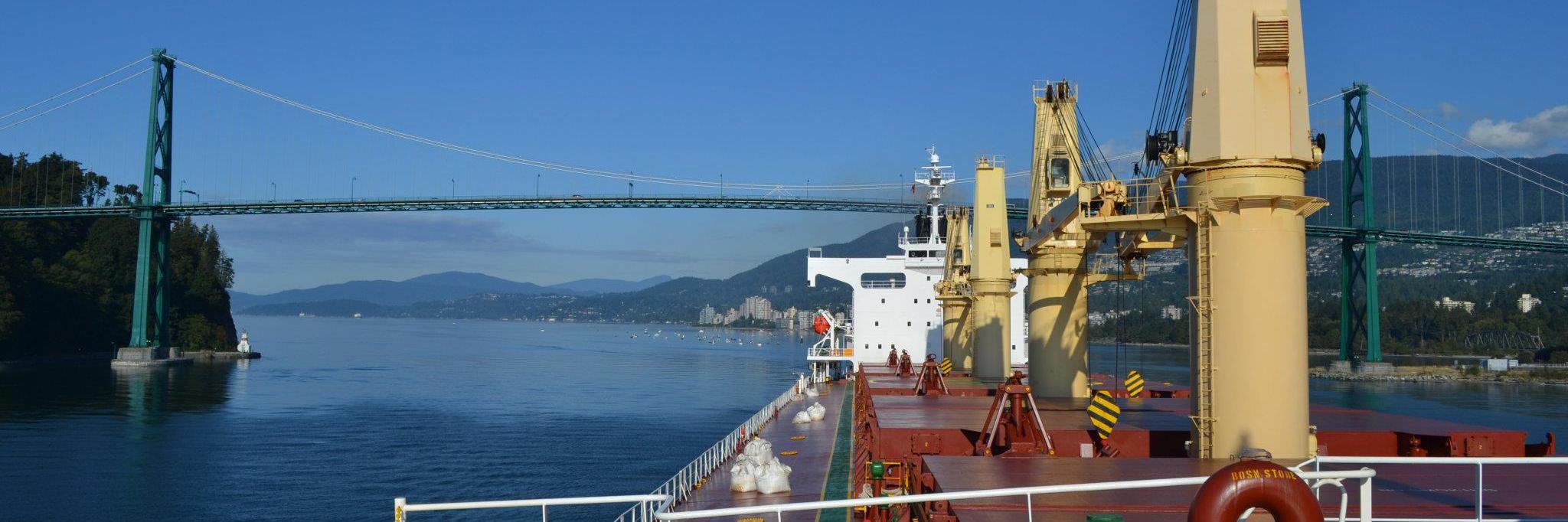 DSS8633's profile banner image