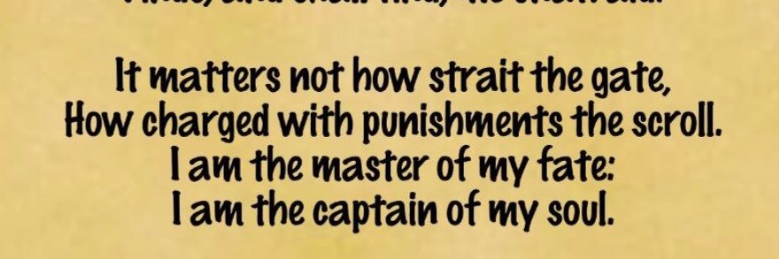 🇺🇸 Cat Master 🇺🇸 banner