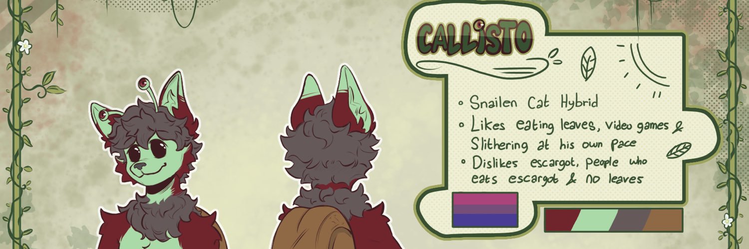 CallistoCat's profile banner image