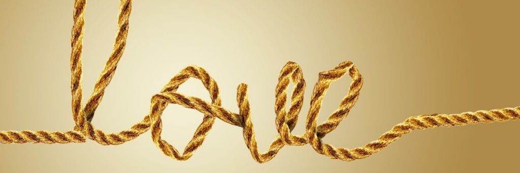 DharmaDP1's profile banner image