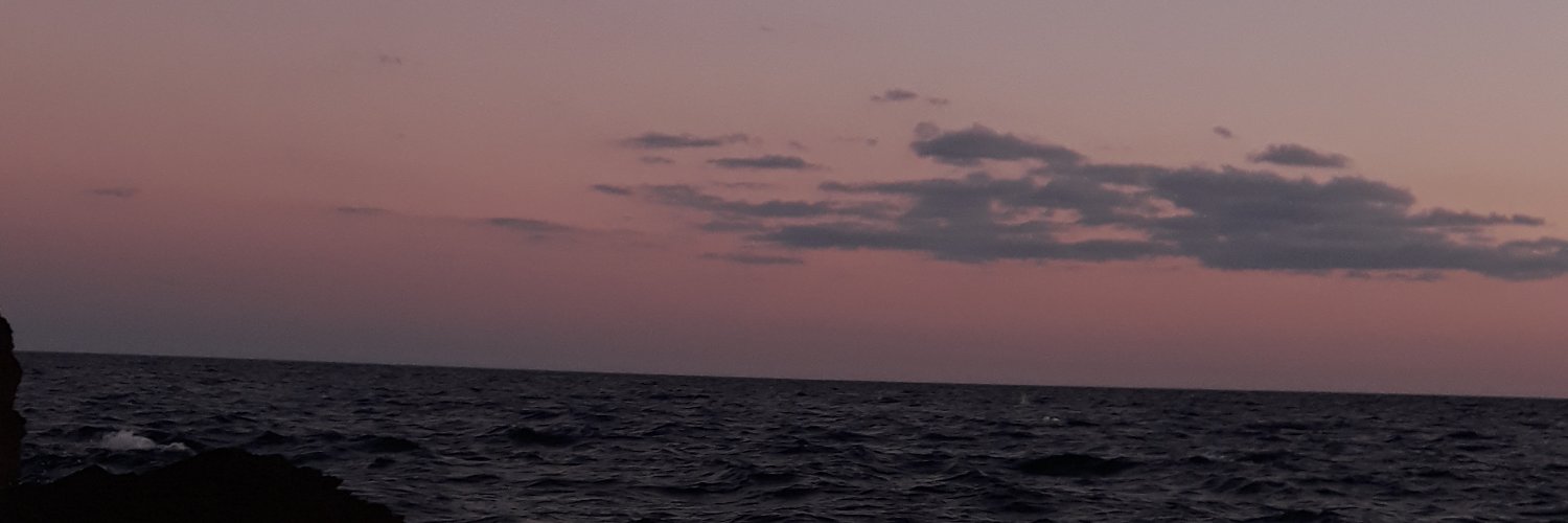 ludmillaaa___'s profile banner image