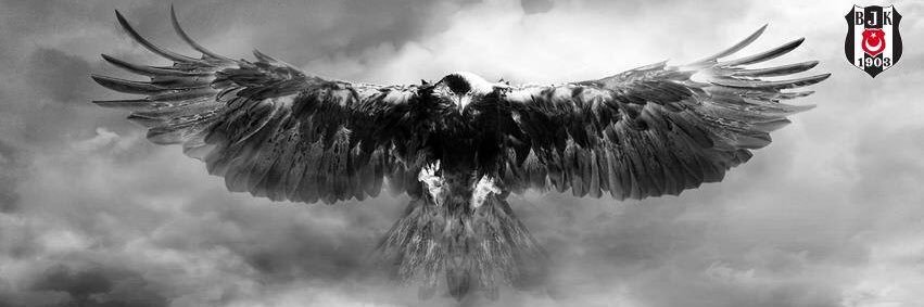 ruzgarlive's profile banner image
