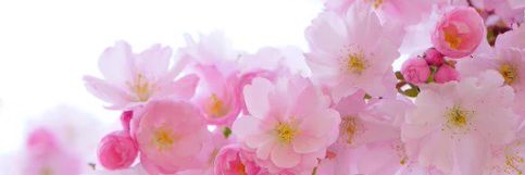s05050643's profile banner image