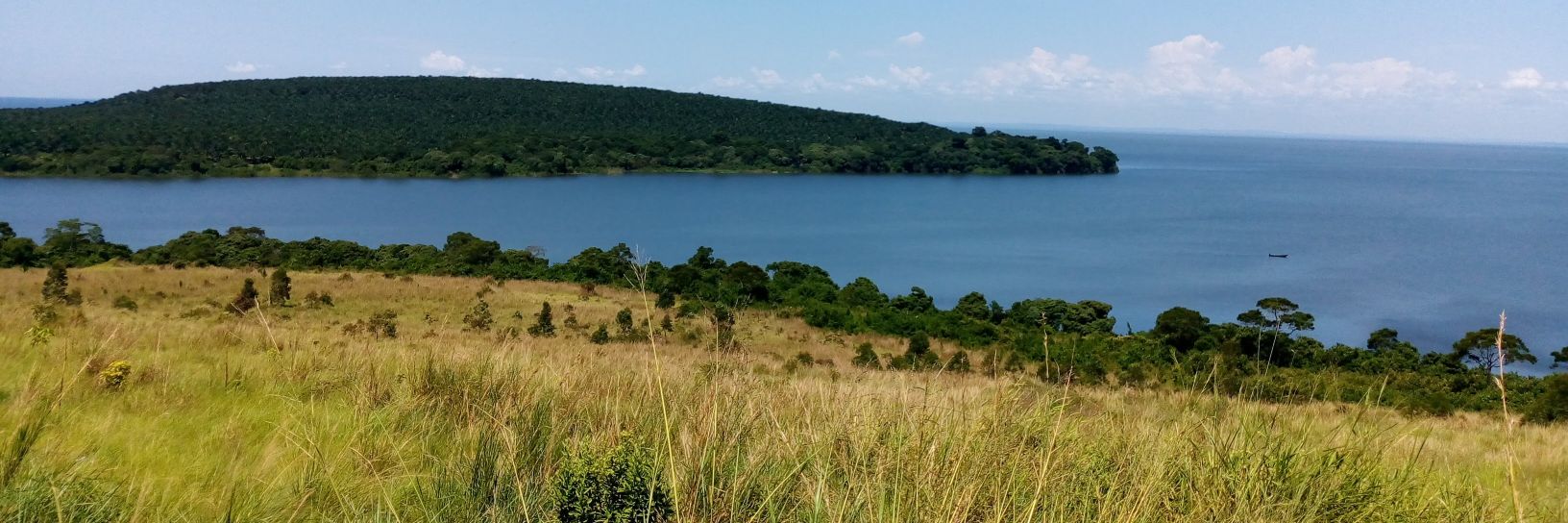 jmakibwe's profile banner image