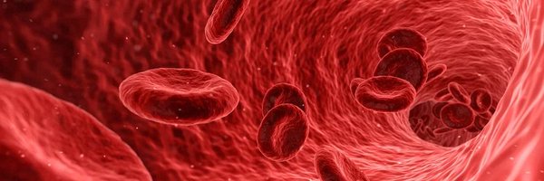 AshAlizadeh Profile Banner