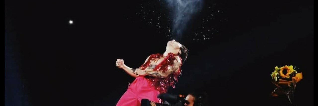 giuliapamio's profile banner image