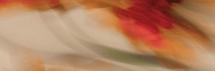 danielaraay's profile banner image