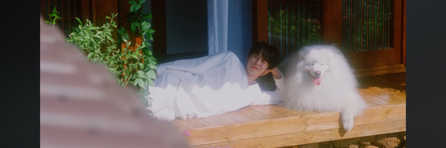 apitchymtye's profile banner image