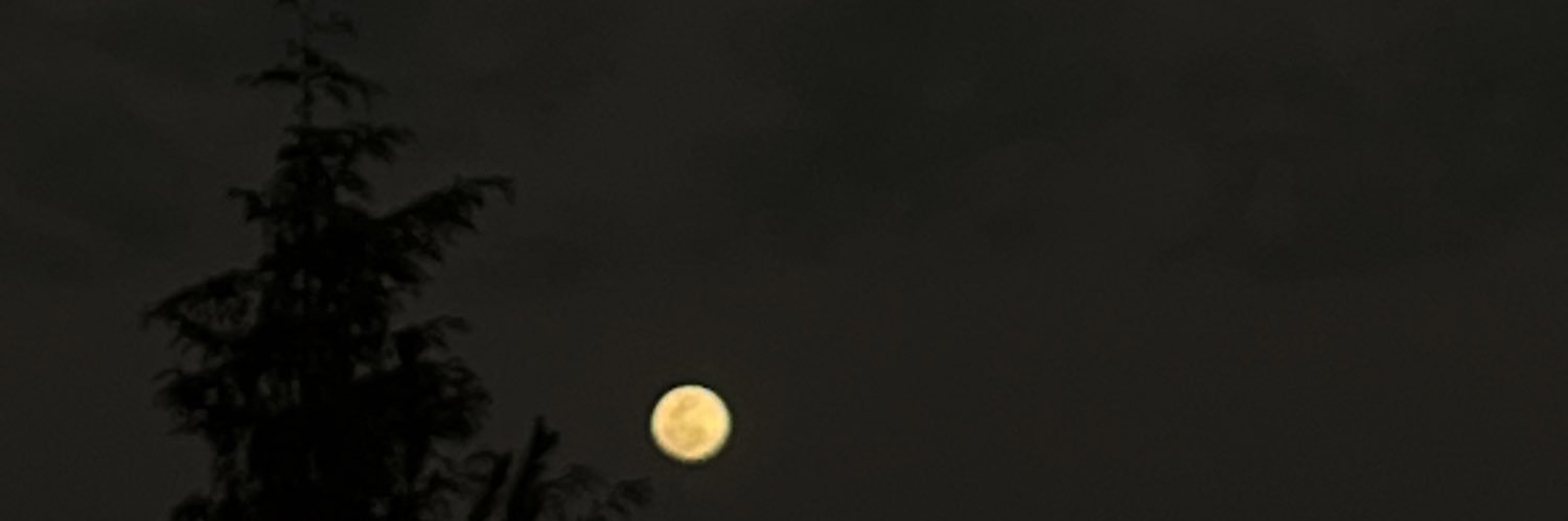 valeegooonzalez's profile banner image
