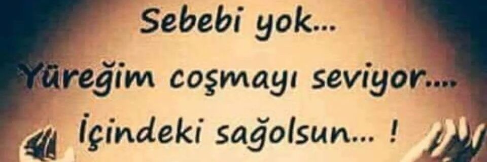 guzel07071's profile banner image