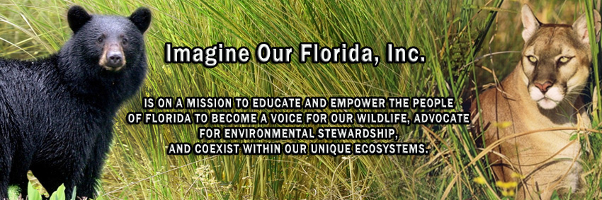 ImagineOurFL's profile banner image