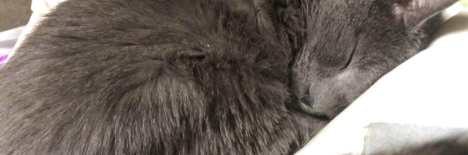 s_aorh's profile banner image