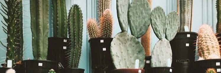ChelseaRose27's profile banner image