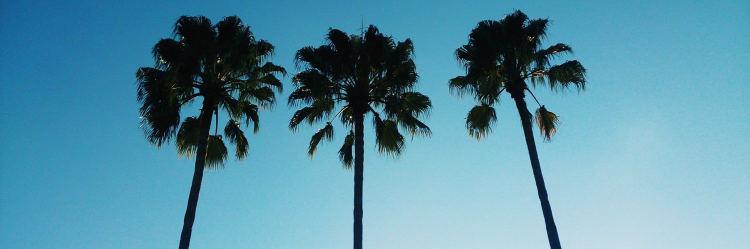 lSABABE's profile banner image