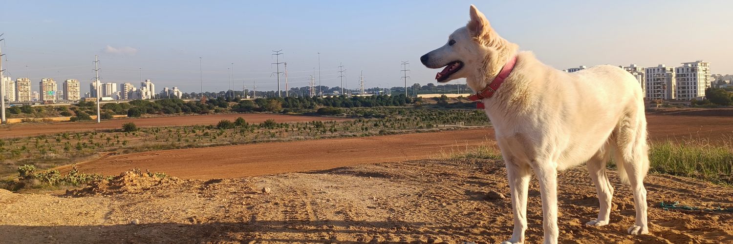Gad 🇮🇱⁩ גד banner