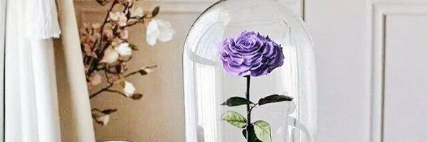 94hebaa_19's profile banner image