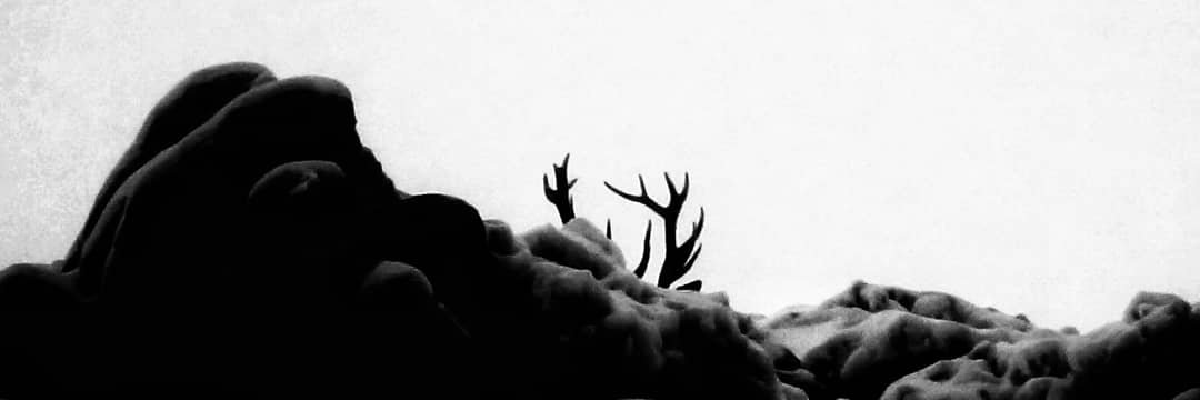 farriolet's profile banner image