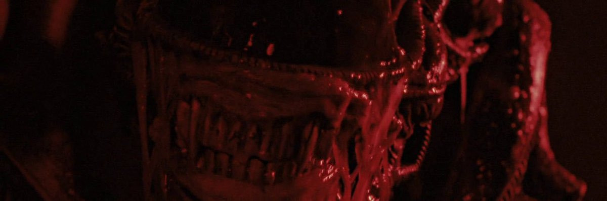 isshmail's profile banner image