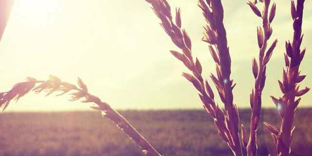 AlexisOT10's profile banner image