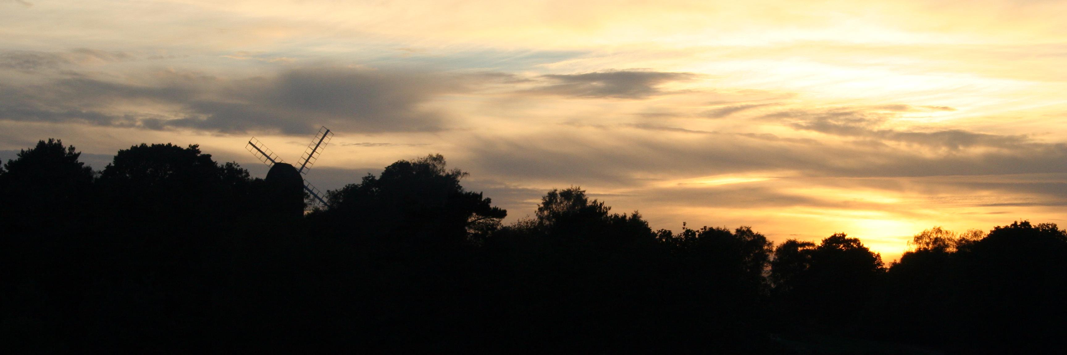 Reigate Heath SSSI banner