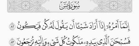 عبدالرحمن الخالدي banner