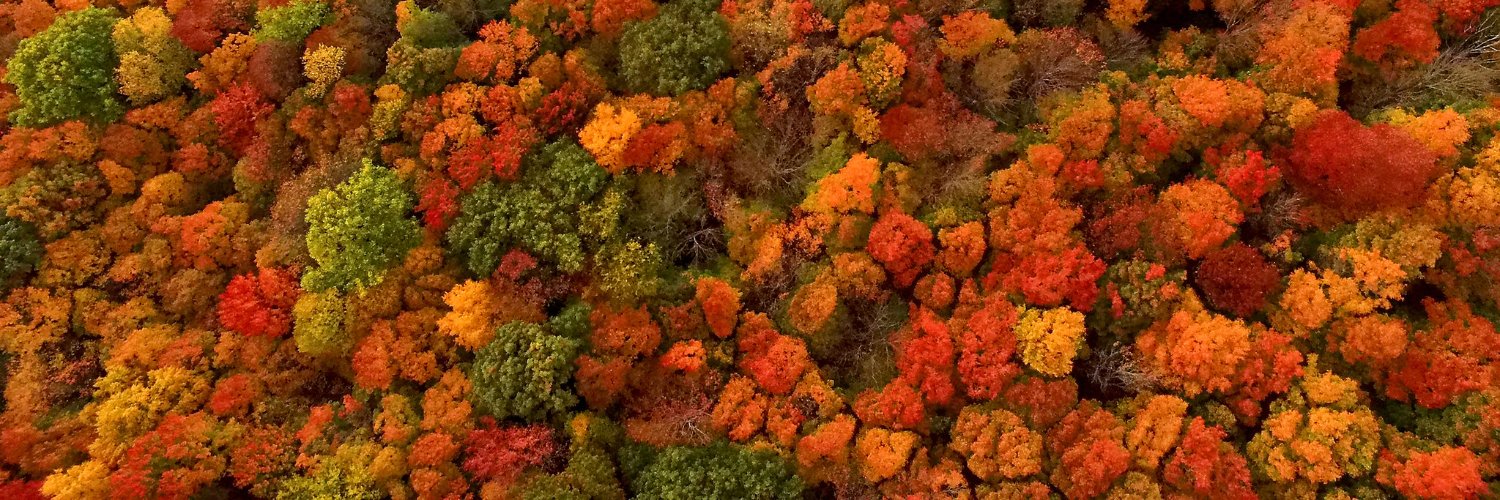 Matty Compost banner