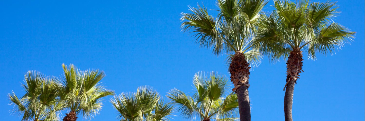 aaleeyahap's profile banner image