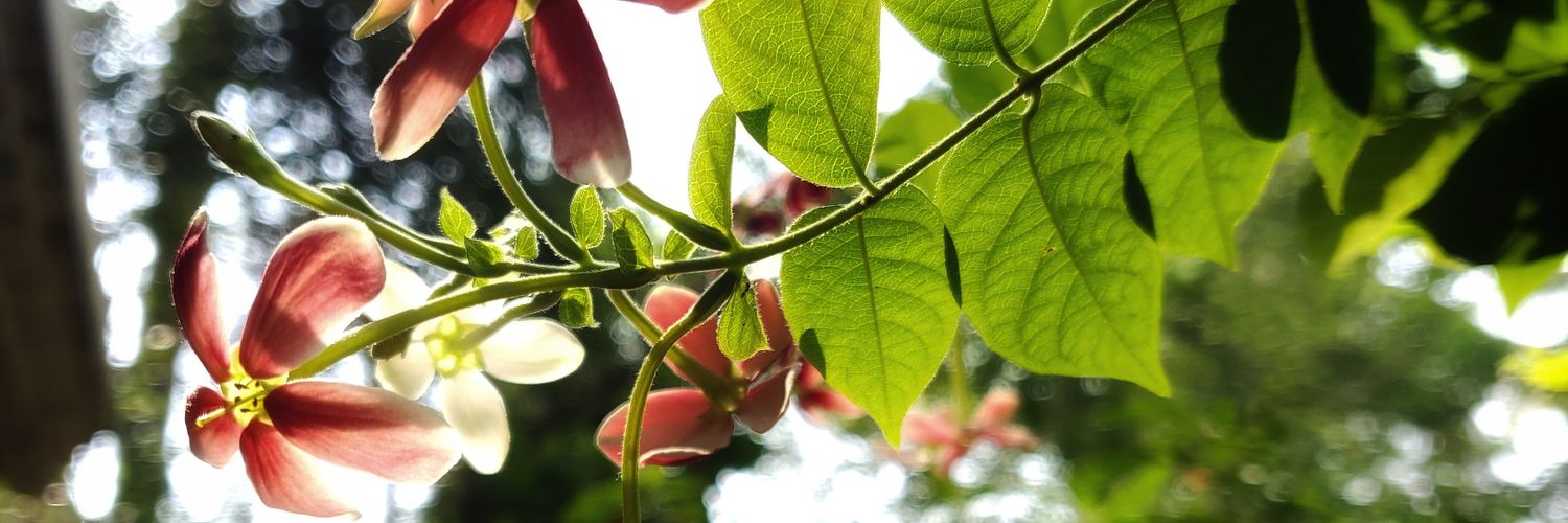 darshu790's profile banner image