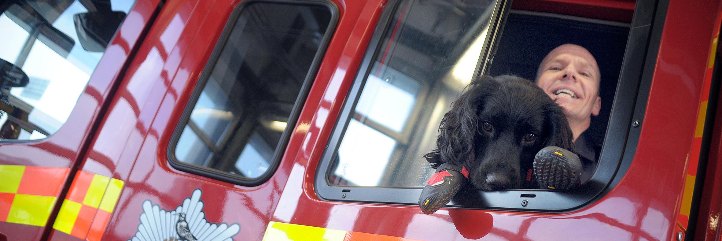 Archie_FireDog banner