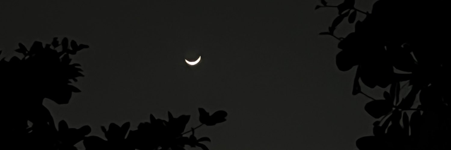 _F66A's profile banner image