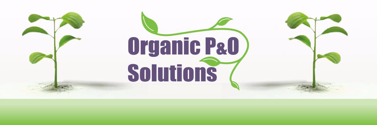 Natasha Kearslake banner