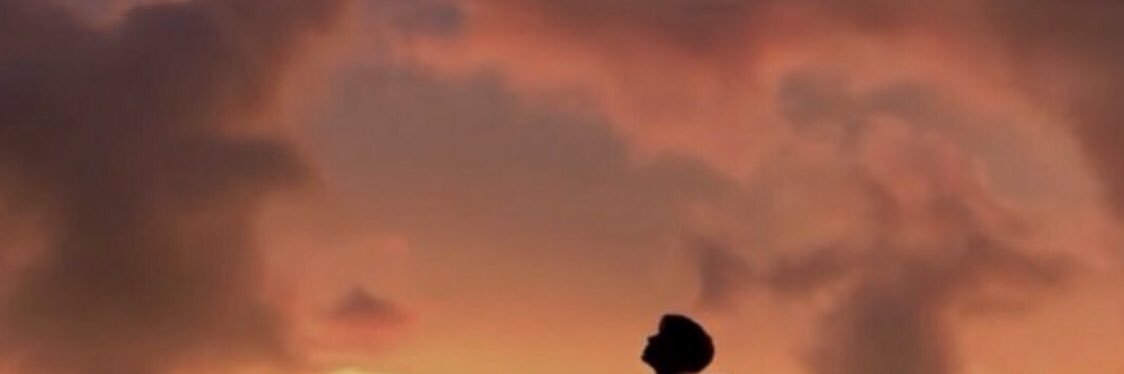maunesan's profile banner image