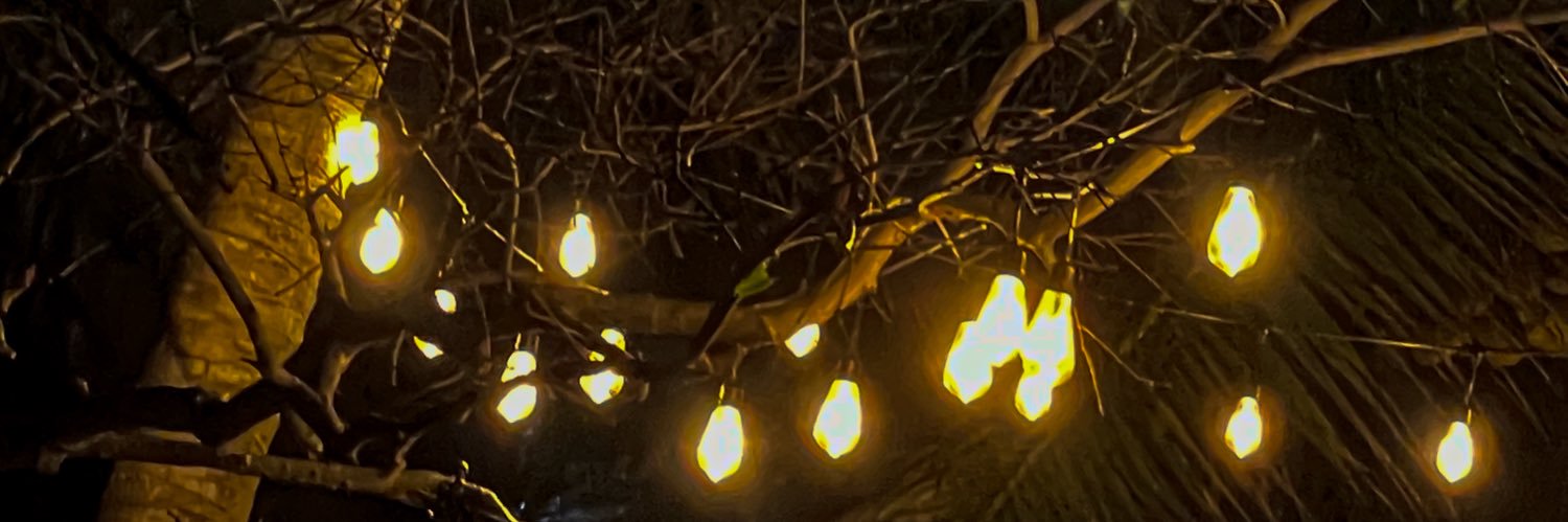 maxxim_dev's profile banner image