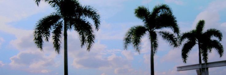 rubyjanefruity's profile banner image