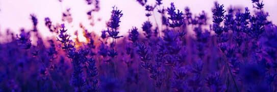 KyivARC's profile banner image