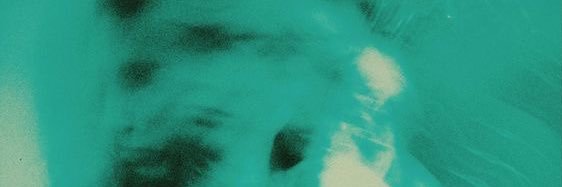 echolalink's profile banner image