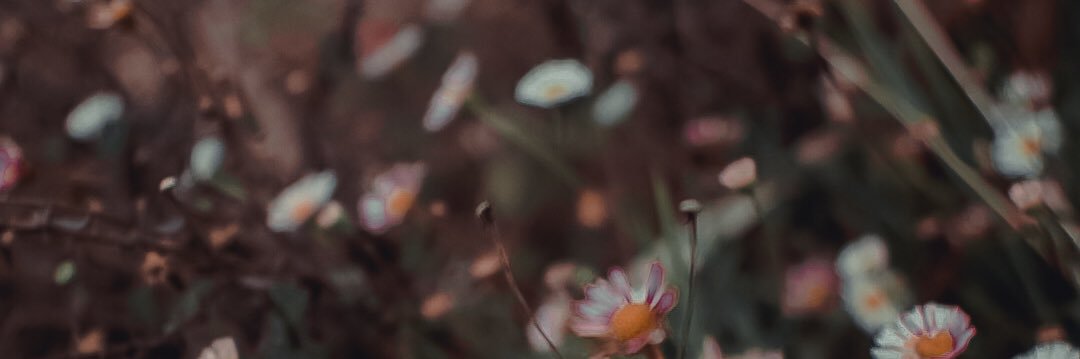 IchtiarASP's profile banner image