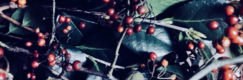 centm_an's profile banner image