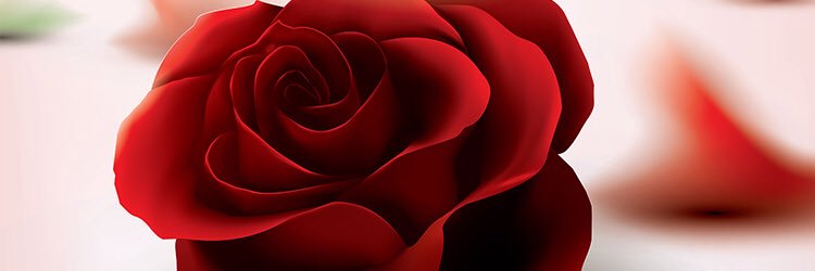 sass_low's profile banner image