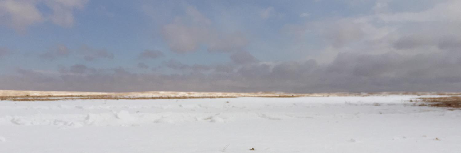 almeshel337's profile banner image