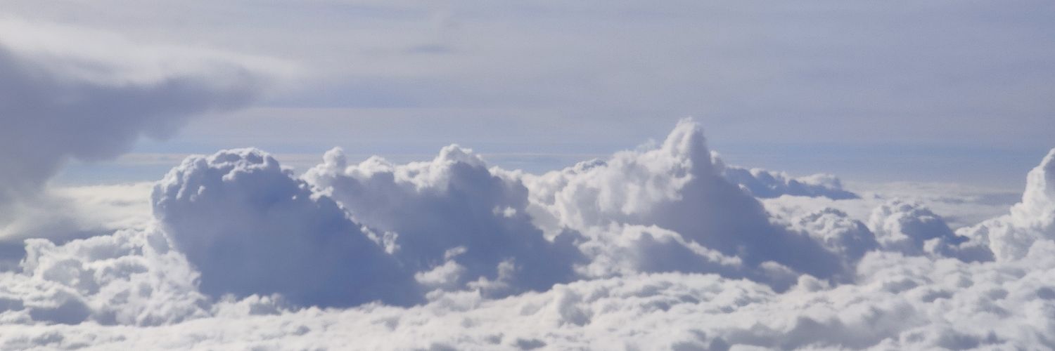 twiternya's profile banner image