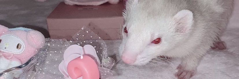 _sndkdsi_'s profile banner image