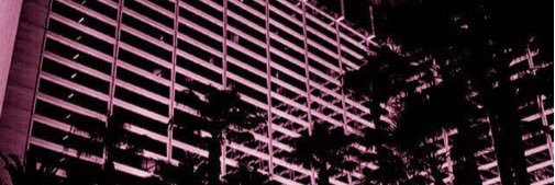 graysallgdr's profile banner image