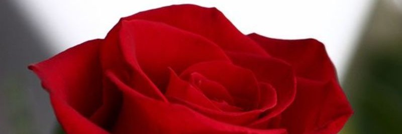byousssf's profile banner image