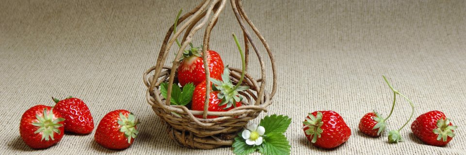 MsingRocco's profile banner image
