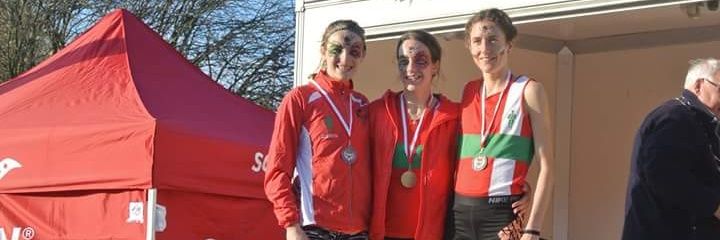 Bryony Proctor banner