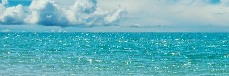 Robin Davidman banner