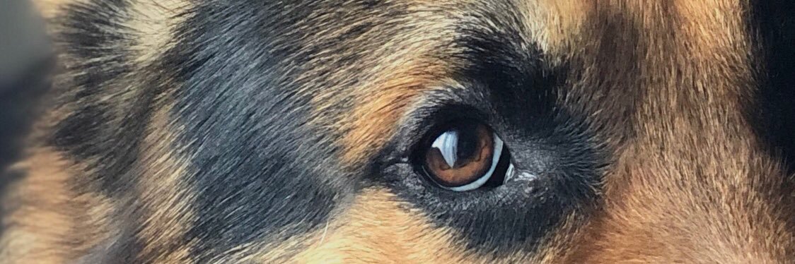 pepelu46vr's profile banner image
