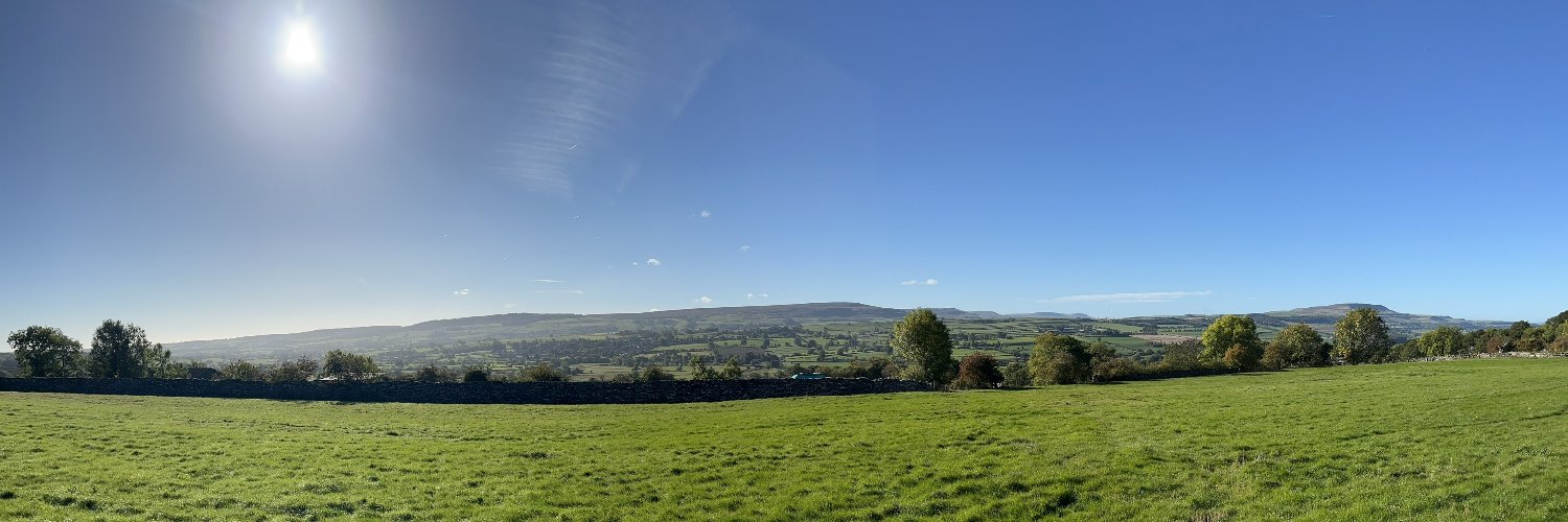 Christine Joynes banner