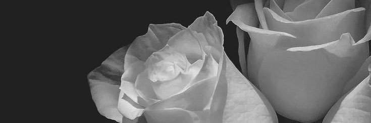 Chloe Frances banner